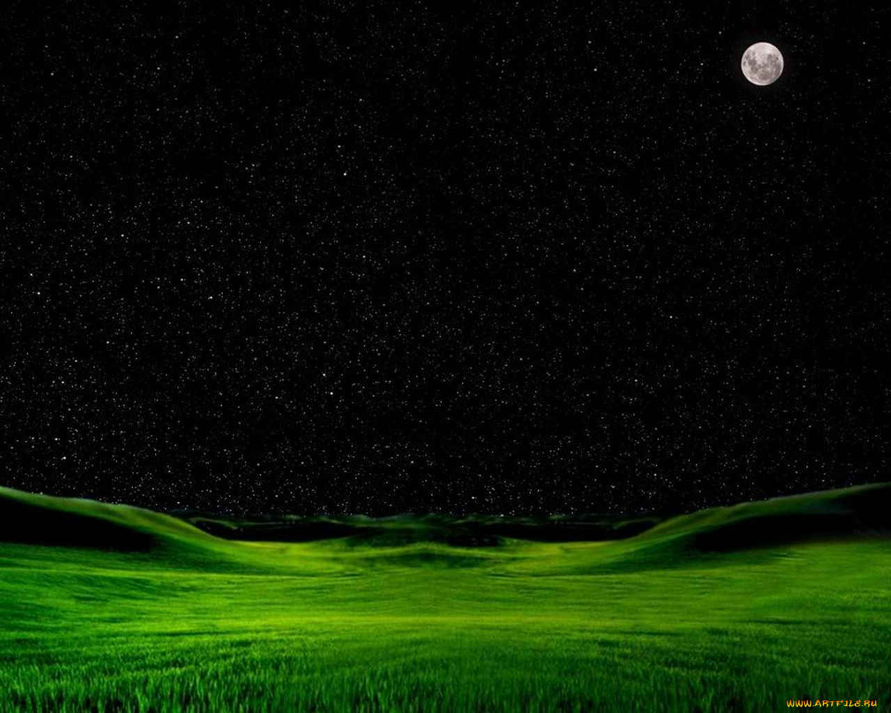 Звёздное небо и трава